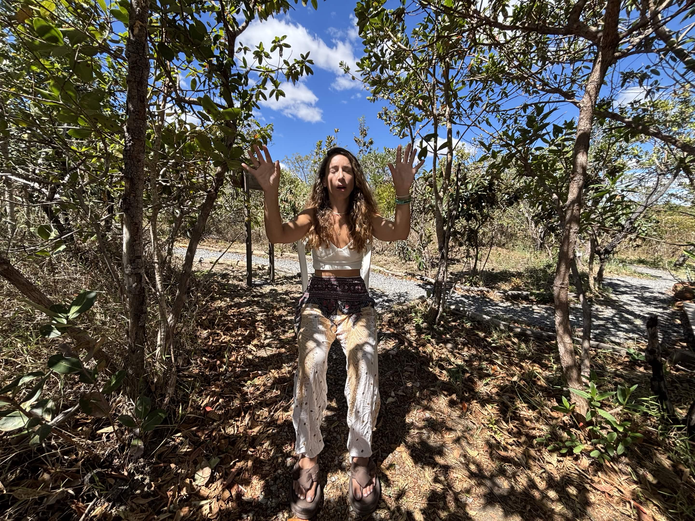 Jennifer Brooke, arms raised in presence, sunlight through the canopy